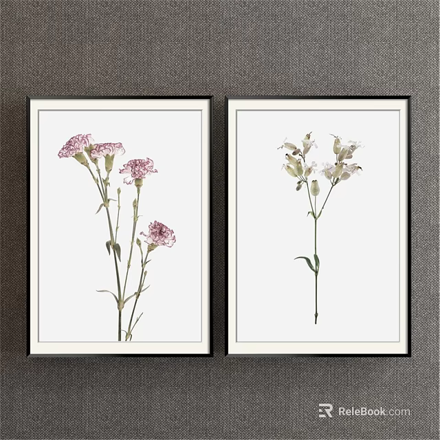 Two Framed Botanical Prints With Pink And White Flowers In Black Frames 3d model 
