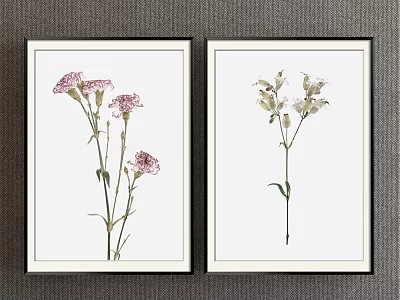 Two Framed Botanical Prints With Pink And White Flowers In Black Frames 3d model