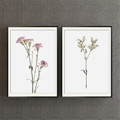 Two Framed Botanical Prints With Pink And White Flowers In Black Frames 3d model