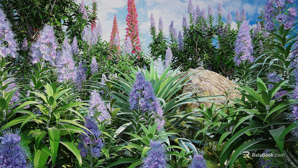 Vibrant Garden Flowers With Purple Pink Blooms Lush Green Leaves And Rock 3d model 