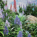 Vibrant Garden Flowers With Purple Pink Blooms Lush Green Leaves And Rock