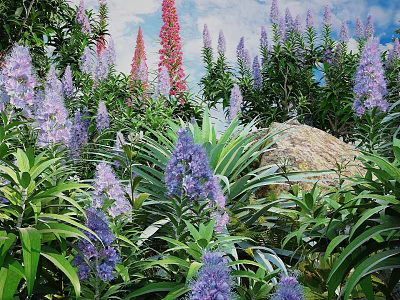 Vibrant Garden Flowers With Purple Pink Blooms Lush Green Leaves And Rock 3d model