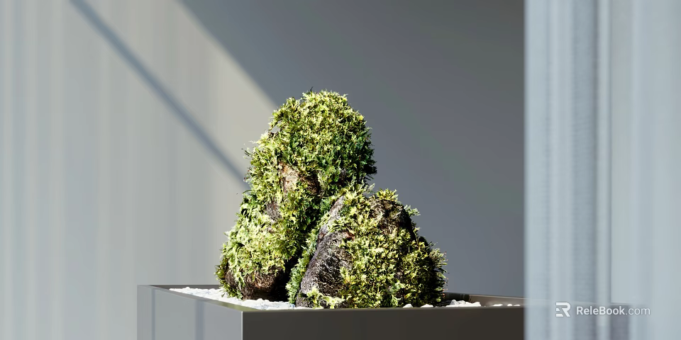 Bonsai Plant With Moss Covered Rocks In Minimalist White Container And Pebbles 3d model 