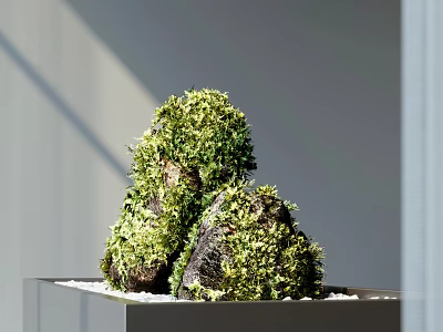 Bonsai Plant With Moss Covered Rocks In Minimalist White Container And Pebbles 3d model