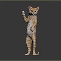 Orange Tabby Cat Lying On Back With Paws Up On Smooth Gray Surface 3d model