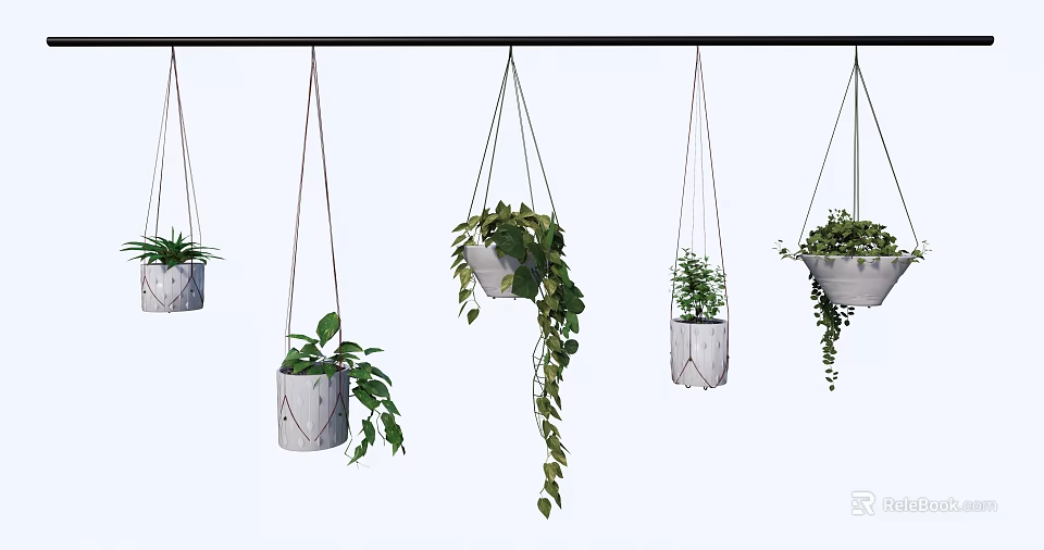 Various Hanging Basket Plants with Lush Trailing Vines in White Geometric Planters for Home Decoration 3d model 