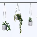 Various Hanging Basket Plants with Lush Trailing Vines in White Geometric Planters for Home Decoration