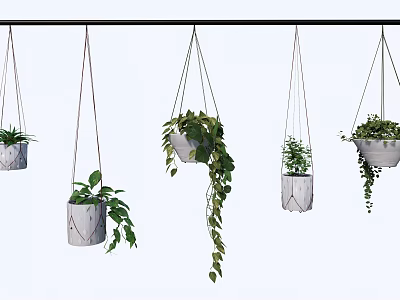 Various Hanging Basket Plants with Lush Trailing Vines in White Geometric Planters for Home Decoration 3d model