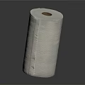 White Textured Toilet Paper Roll For Household Everyday Use And Absorbent Softness