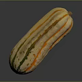 Fresh Long Shaped Pumpkin With Orange Green Stripes For Household Kitchen
