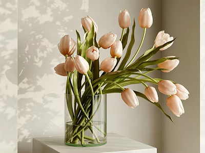 Pink Tulips in Transparent Glass Vase on White Pedestal with Light Shadow 3d model