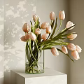 Pink Tulips in Transparent Glass Vase on White Pedestal with Light Shadow