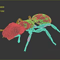 Detailed 3D Ant Model With Gray Body And Realistic Leg Structure Design