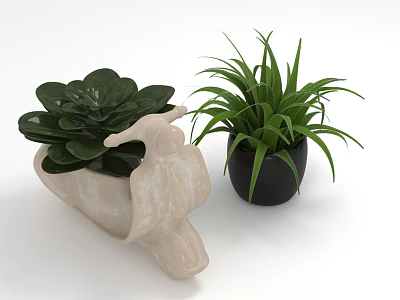 Decorative Succulent Plant In Bird Shaped Light Pot And Long Leaf Plant In Black Pot 3d model