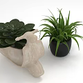 Decorative Succulent Plant In Bird Shaped Light Pot And Long Leaf Plant In Black Pot