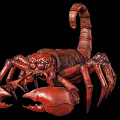 Realistic Scorpion Modern Realistic Animal Reptile Scorpion game 3d model