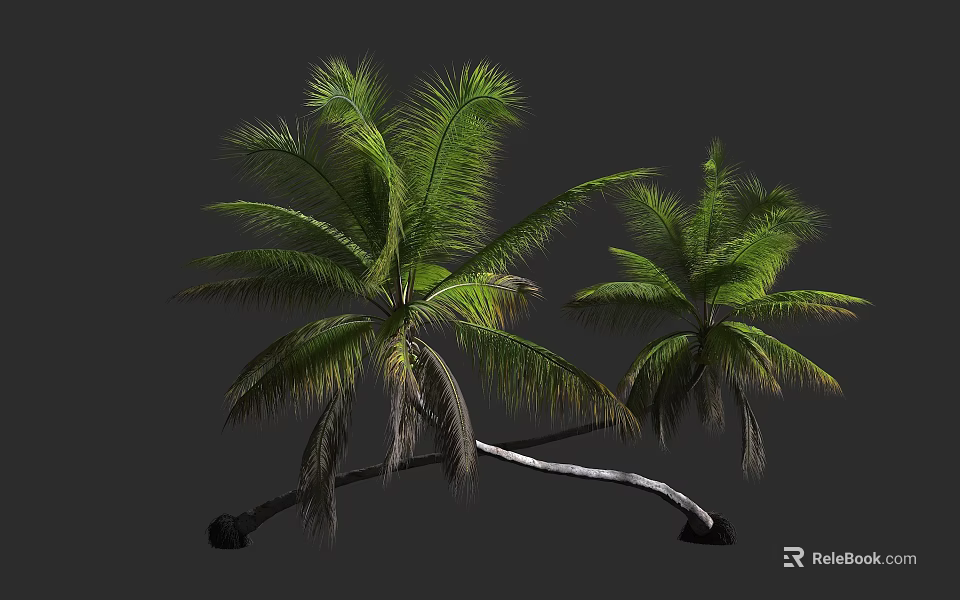Lush Tropical Palm Trees With Green Fronds And Curved Trunks Against Gray Background 3d model 