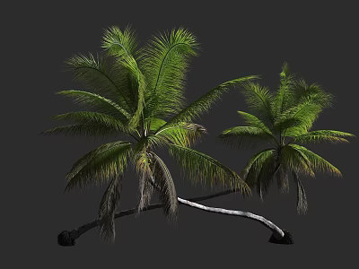 Lush Tropical Palm Trees With Green Fronds And Curved Trunks Against Gray Background 3d model