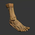 Human Foot Anatomical Model With Detailed Muscle And Ligament Structure