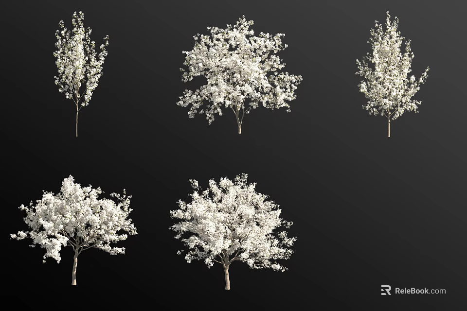 Detailed White Blossom Arbor Trees with Different Shapes on Black Background 3d model 