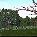 Scenic Lake View With Water Lilies Pink Flowering Trees Rocky Outcrop And Green Grass