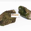 Natural Stone and Wood Elements with Green Moss Covered Surfaces in Natural Setting