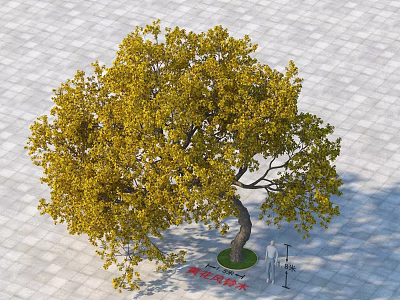 Yellow Leaf Arbor with Curved Trunk on Gray Tiled Ground Height 5.2 Meters 3d model