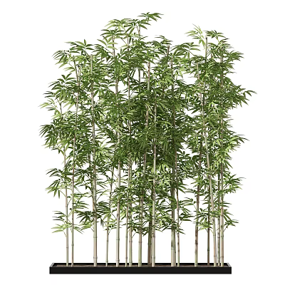 Tall Lush Bamboo Plants With Green Leaves And Slender Stems In Natural Growth 3d model