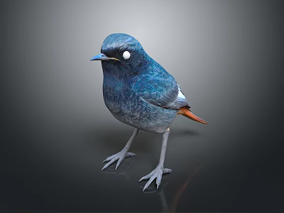 Vibrant Blue Bird With White Eye Patch And Orange Tail Standing On Dark Surface 3d model