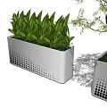 Bonsai Potted Plants In Square Perforated Planters With Green Foliage And Small Tree