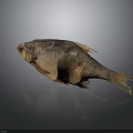 Whole Dried Fish With Golden Brown Skin And Crispy Texture As Traditional Cooking Ingredient