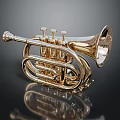 Golden Brass Cornet Musical Instrument With Shiny Finish And Intricate Design Details