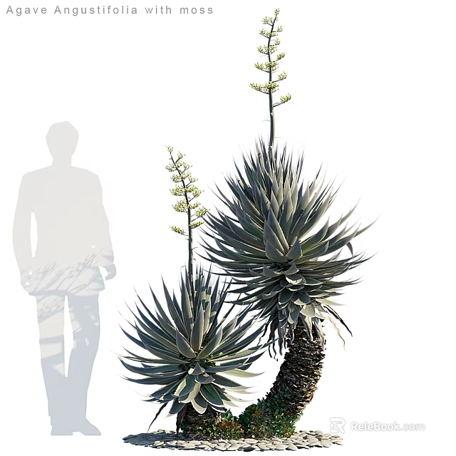 Decorative Ornament Set With Tall Aloe Plants And Flower Accents For Home Decor 3d model 