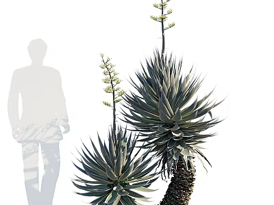 Decorative Ornament Set With Tall Aloe Plants And Flower Accents For Home Decor 3d model