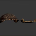 Intact and Broken Turtle Shells Showing Natural Texture on White Background 3d model