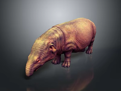 Brown Hippopotamus 3D Model With Textured Surface Standing On Dark Background And Reflection 3d model