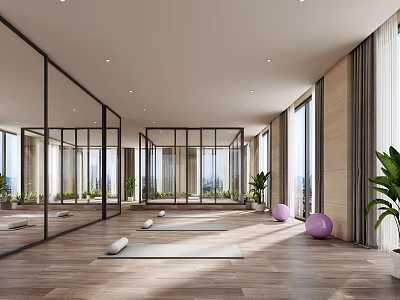 Spacious Bright Yoga Studio With Large Mirrors Wooden Floors Yoga Mats Plants And City View 3d model