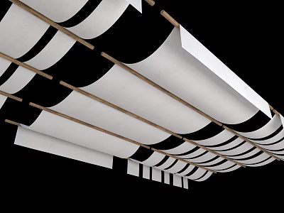 Curtain Chinese Curtain Slow Ceiling Curtain Tea Room Ceiling Study Ceiling Library Ceiling College Ceiling 3d model