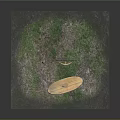 Traditional Tribal Weapons With Wooden Shield Boomerang Spear And Base On Grass