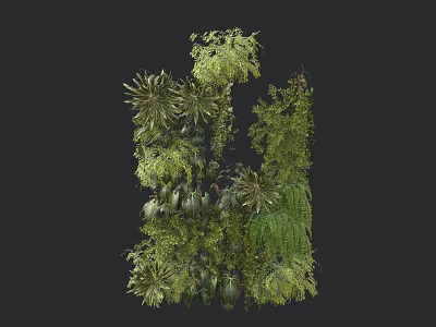 Lush Green Shrub Collection With Various Leafy Plants And Natural Foliage 3d model