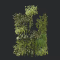Lush Green Shrub Collection With Various Leafy Plants And Natural Foliage