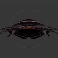 Dark Brown Stag Beetle With Large Mandibles And Shiny Exoskeleton Close Up