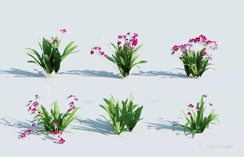 Beautiful Green Plants With Pink Flowers In Different Arrangement Angles 3d model 
