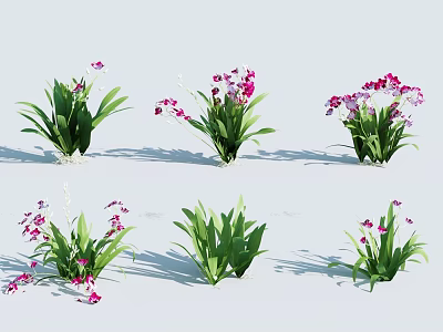 Beautiful Green Plants With Pink Flowers In Different Arrangement Angles 3d model