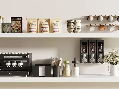 Modern Kitchen With Coffee Machine Coffee Cups Capsule Holders Utensils Dried Flowers And Shelves 3d model