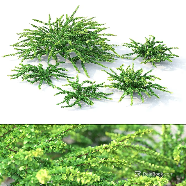 Green Shrubs With Lush Foliage And Various Sizes For Garden Landscaping 3d model 