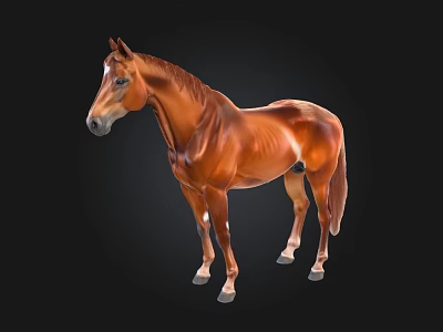 Brown Horse 3D Model Standing On Black Background With Detailed Muscles 3d model