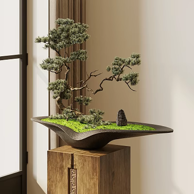 Pine Bonsai Plant In Curved Pot With Green Moss And Stone On Wooden Cabinet Indoor 3d model