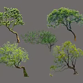 Arbor Trees With Various Shapes And Lush Green Foliage 3d model
