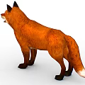 Red Fox With Orange Fur Standing And Open Mouth Isolated On White Background